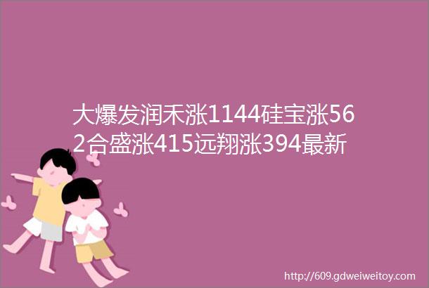 大爆发润禾涨1144硅宝涨562合盛涨415远翔涨394最新有机硅报价